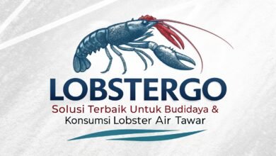 Lobstergo