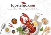 Lobster Kediri Lobstergo – Pusat Budidaya &Amp; Penjualan Lobster Air Tawar Terpercaya Lobstergo Com Menyediakan Lobster Berkualitas T