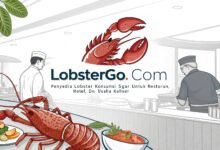Lobstergo: Penyedia Lobster Konsumsi Segar Untuk Restoran, Hotel, Dan Usaha Kuliner Lobstergo Com Penyedia Lobster Konsumsi Segar Un