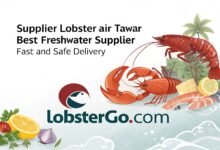 Supplier Lobster Air Tawar Terbaik – Pengiriman Cepat &Amp; Aman Lobstergo Com Supplier Lobster Air Tawar Terbaik