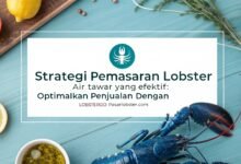 Pemasaran Lobster Air Tawar, Lobster Air Tawar Kediri, Lobster Kediri, Jual Lobster Kediri, Lobstergo, Pasarlobster.com, Marketplace Lobster Indonesia, Cara Menjual Lobster Air Tawar, Budidaya Lobster Kediri, Jual Indukan Lobster Online, Strategi Penjualan Lobster, Lobster Air Tawar Online, Lobster Indonesia, Pengusaha Lobster Sukses, Platform Jual Lobster, Lobster Konsumsi, Benih Lobster Air Tawar, Jual Lobster Murah, Lobster Ekspor Indonesia, Lobsterkediri.biz.id