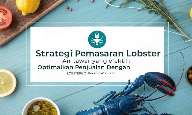 Pemasaran Lobster Air Tawar, Lobster Air Tawar Kediri, Lobster Kediri, Jual Lobster Kediri, Lobstergo, Pasarlobster.com, Marketplace Lobster Indonesia, Cara Menjual Lobster Air Tawar, Budidaya Lobster Kediri, Jual Indukan Lobster Online, Strategi Penjualan Lobster, Lobster Air Tawar Online, Lobster Indonesia, Pengusaha Lobster Sukses, Platform Jual Lobster, Lobster Konsumsi, Benih Lobster Air Tawar, Jual Lobster Murah, Lobster Ekspor Indonesia, Lobsterkediri.biz.id
