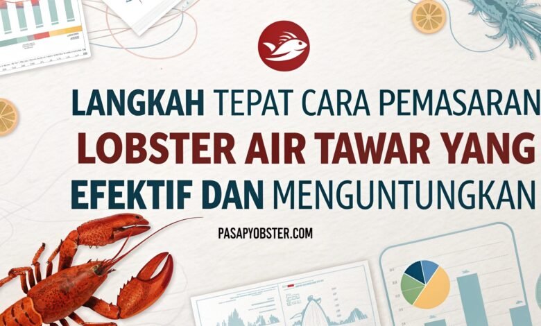 Langkah Tepat Cara Pemasaran Lobster Air Tawar Yang Efektif Dan Menguntungkan