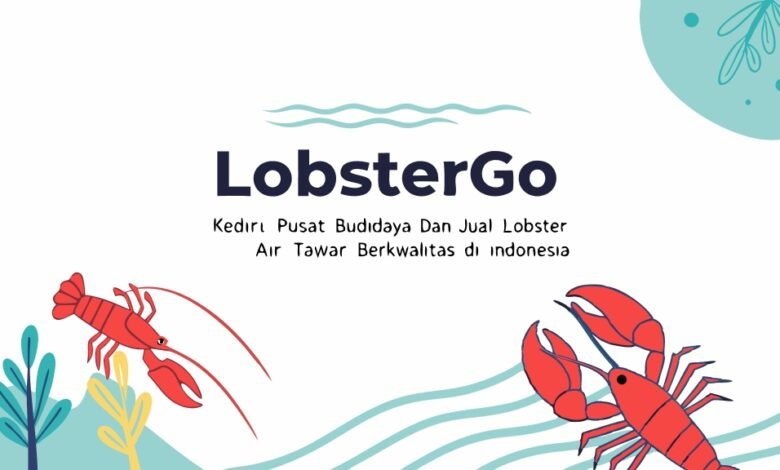 Lobstergo Kediri: Pusat Budidaya Dan Jual Lobster Air Tawar Berkualitas Di Indonesia Buat Tulisan Lobstergo Kediri Pusat Budidaya Da