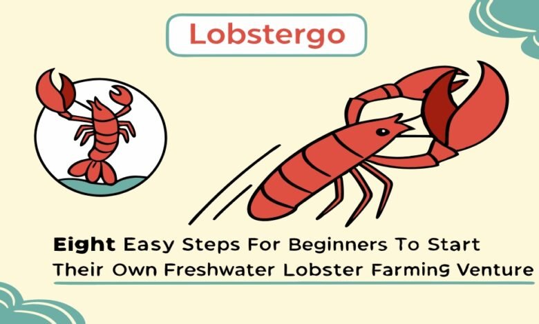 Budidaya Lobster Air Tawar: Peluang Bisnis Menjanjikan Dan 8 Cara Mudah Untuk Pemula Lobstergo Budidaya Lobster Air Tawar Peluang Bi